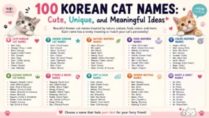 100 Korean cat names featuring cute, unique, nature, food, and meaningful name ideas